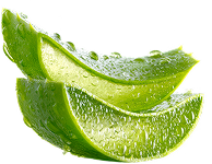 Aloe